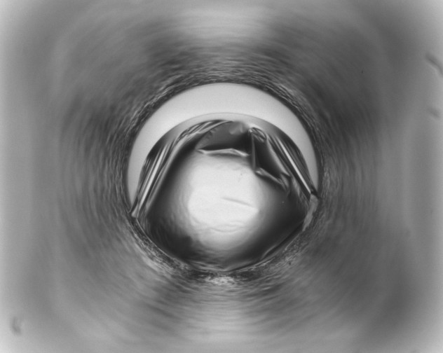 X0000101430409200807281005