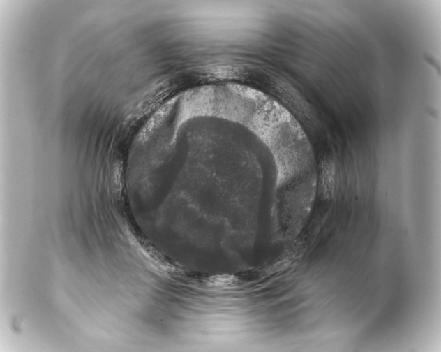 X0000101430410200807281005