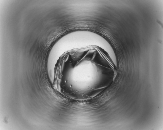 X0000101430411200807281005