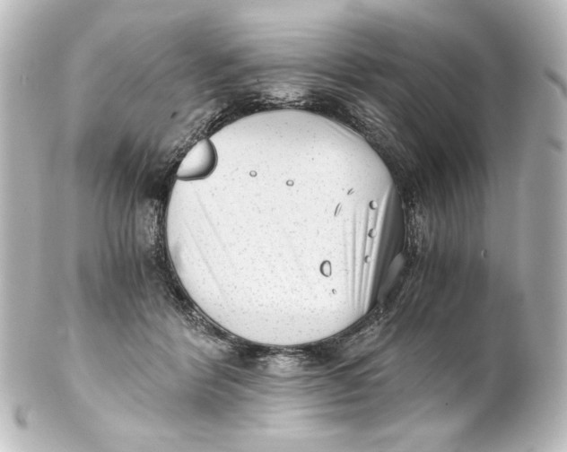 X0000101430412200807281005