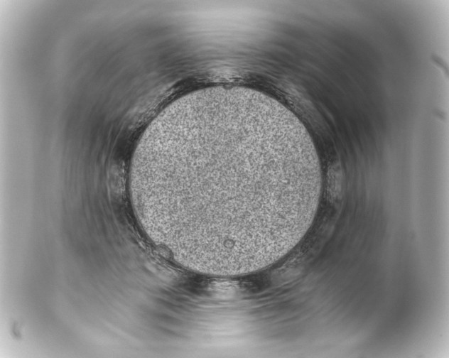 X0000101430413200807281005