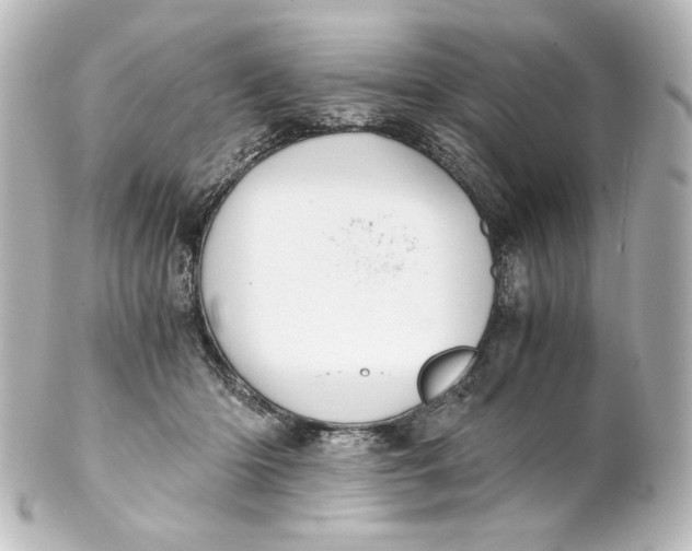 X0000101430414200807281005