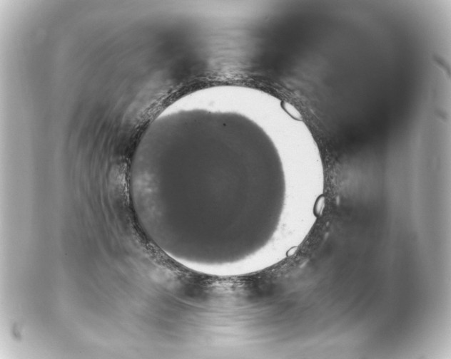 X0000101430415200807281005