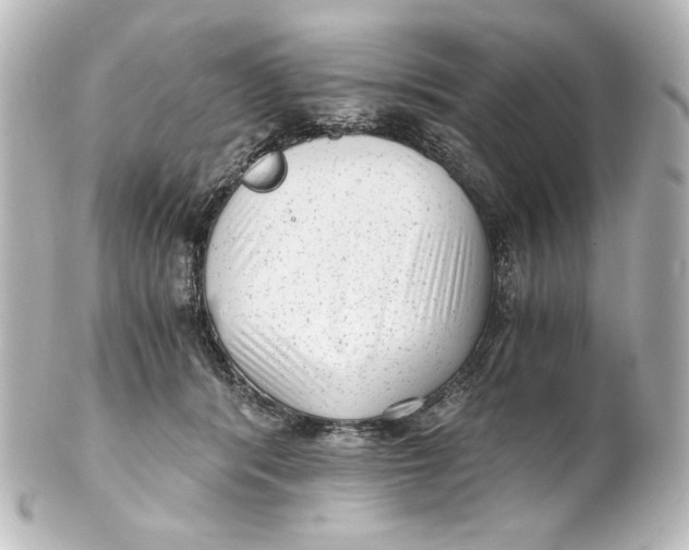 X0000101430416200807281005