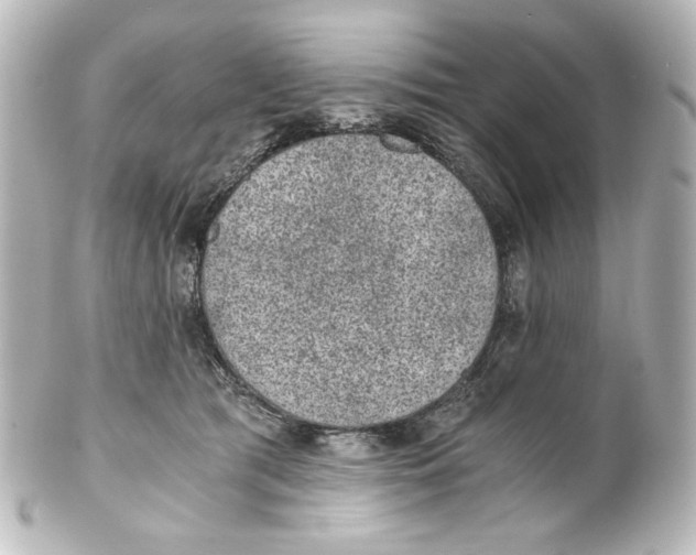 X0000101430417200807281005