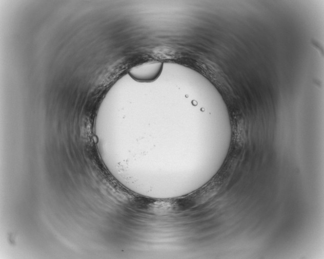 X0000101430418200807281005