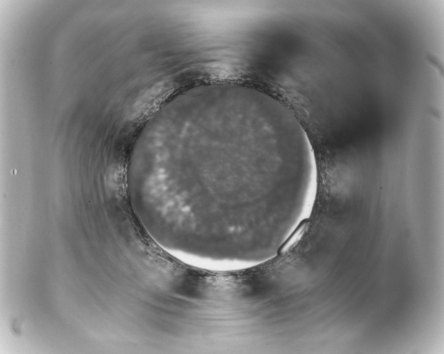 X0000101430419200807281005