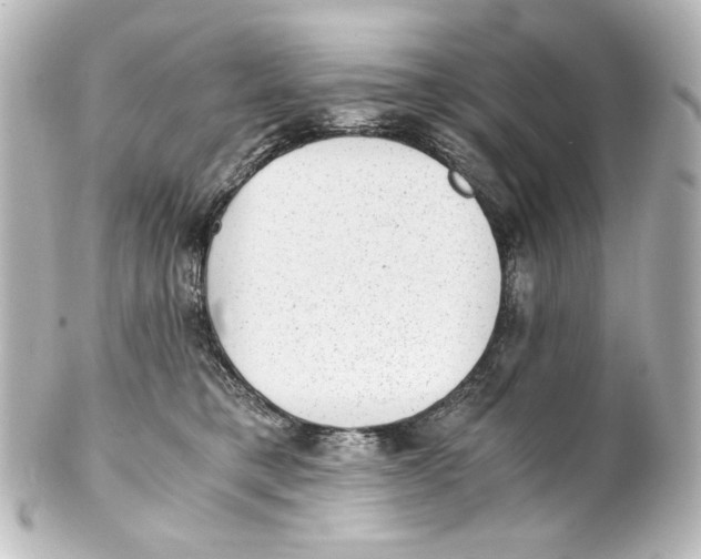 X0000101430421200807281005