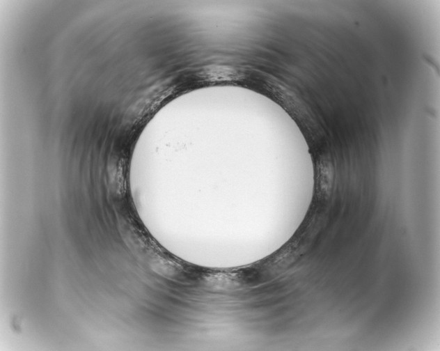 X0000101430422200807281005