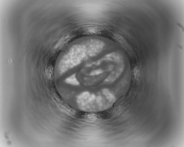 X0000101430423200807281005