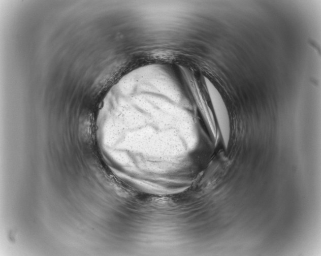 X0000101430424200807281005