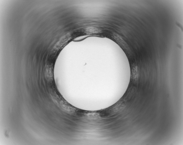 X0000101430426200807281005