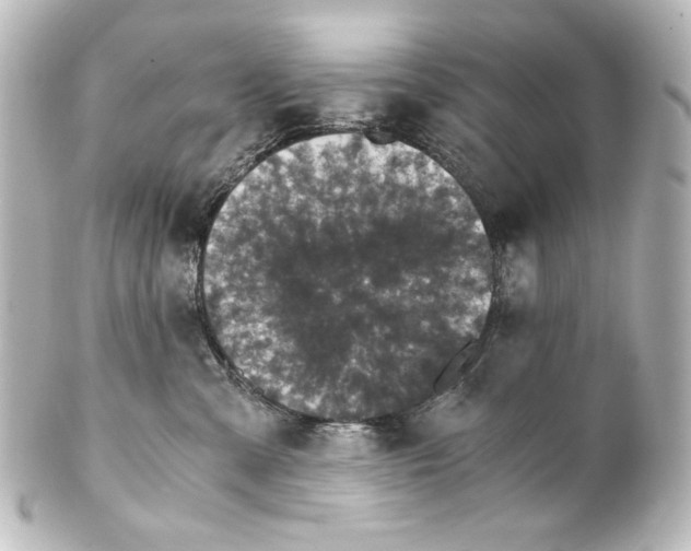 X0000101430427200807281005