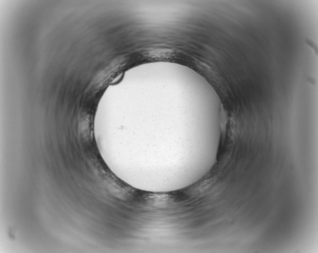 X0000101430428200807281005