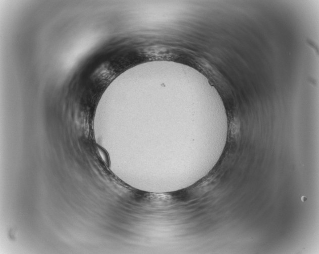 X0000101430429200807281005