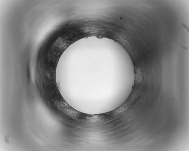 X0000101430430200807281005