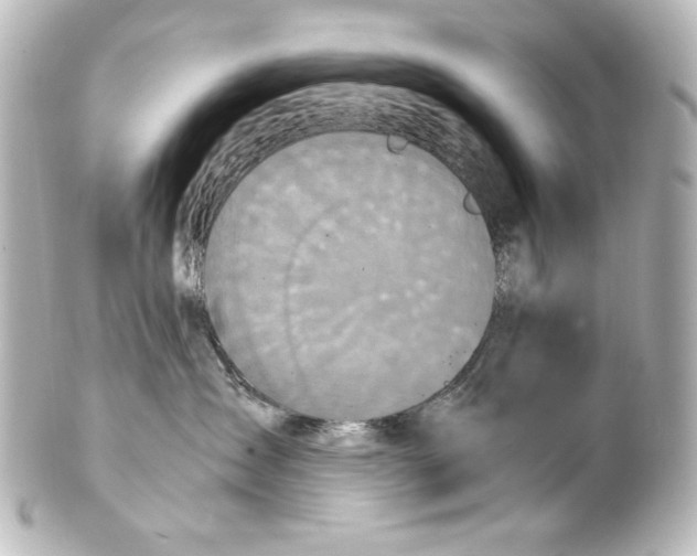 X0000101430431200807281005