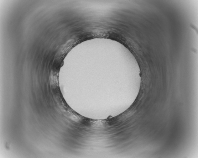 X0000101430432200807281005