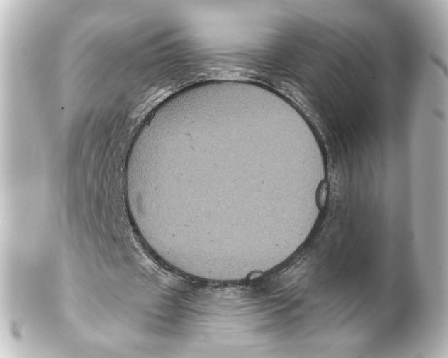 X0000101430433200807281004