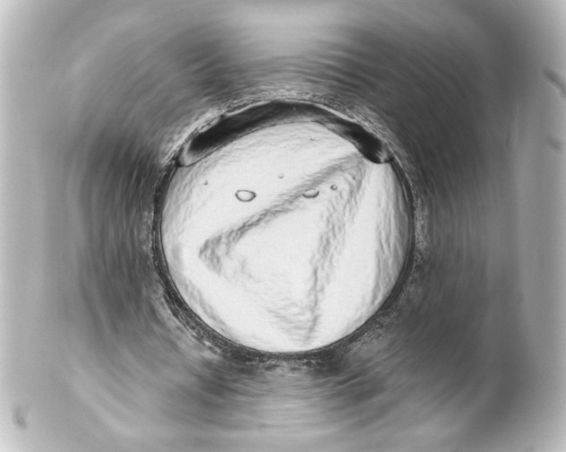 X0000101430434200807281004