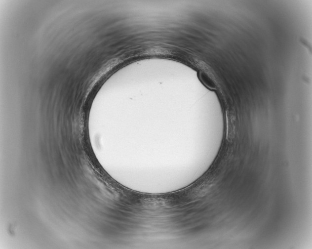 X0000101430435200807281004