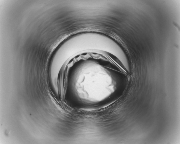 X0000101430436200807281004