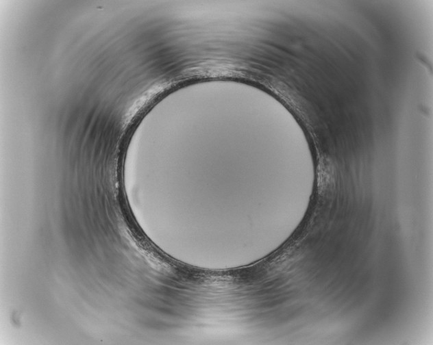 X0000101430438200807281004