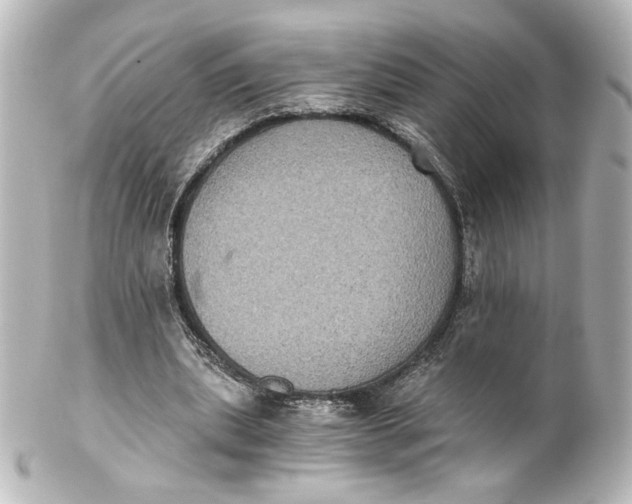 X0000101430439200807281004