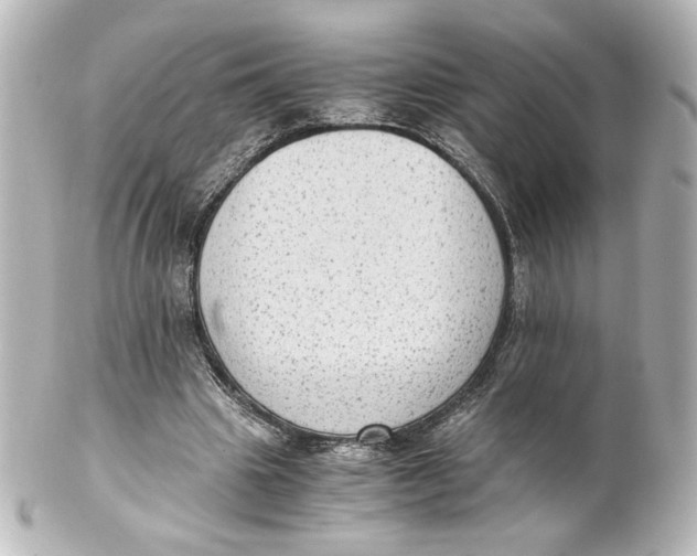 X0000101430441200807281004