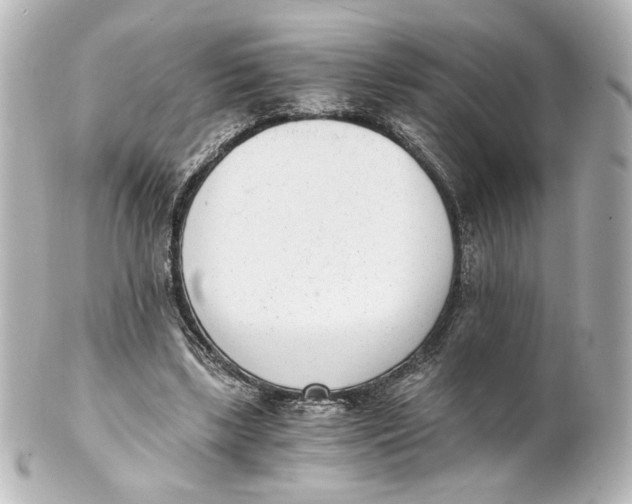 X0000101430443200807281004