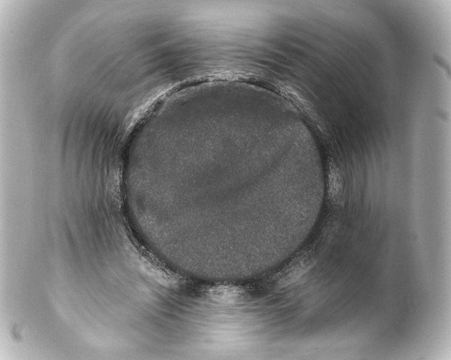 X0000101430444200807281004