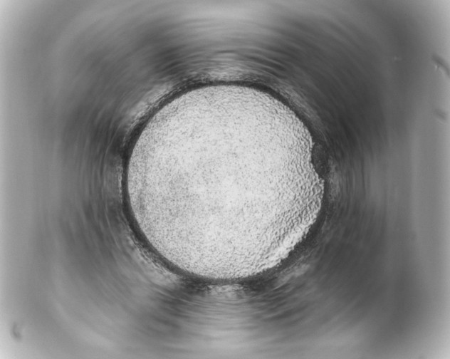 X0000101430446200807281004