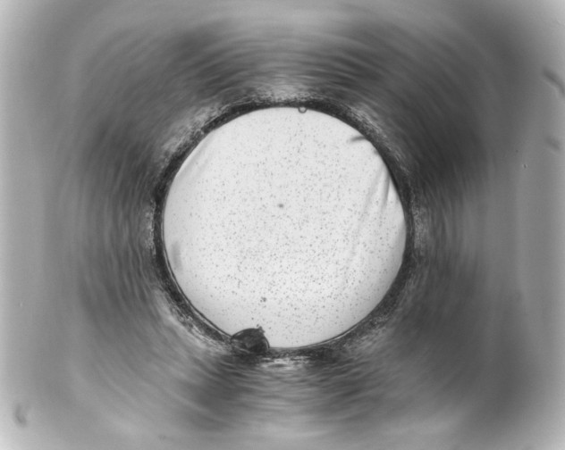 X0000101430447200807281004