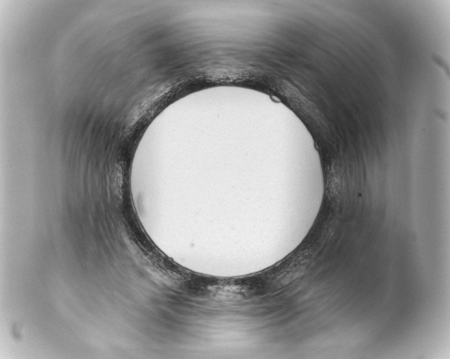 X0000101430448200807281004