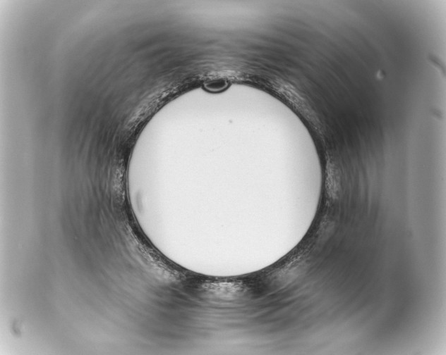 X0000101430449200807281004