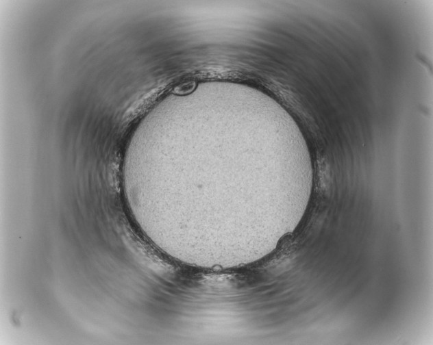 X0000101430450200807281004