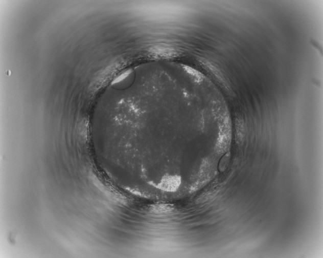 X0000101430451200807281004