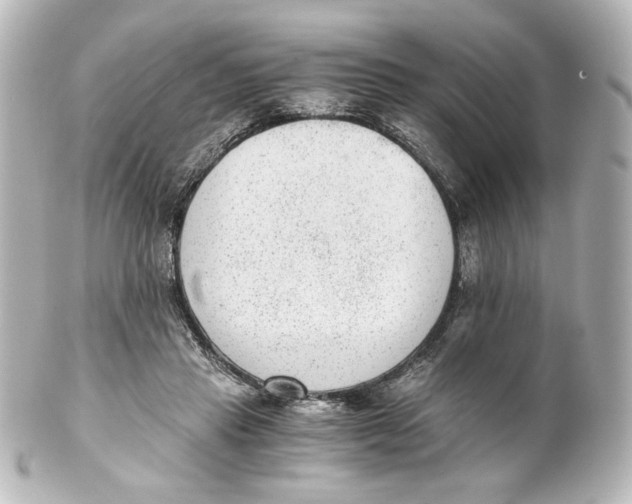 X0000101430453200807281004