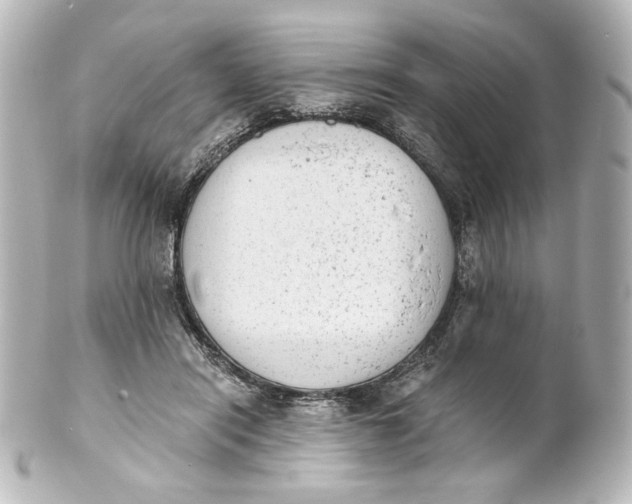 X0000101430454200807281004