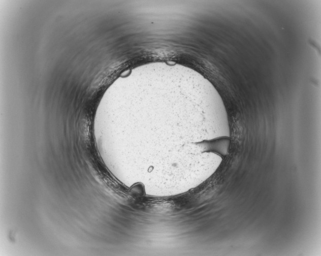 X0000101430456200807281004