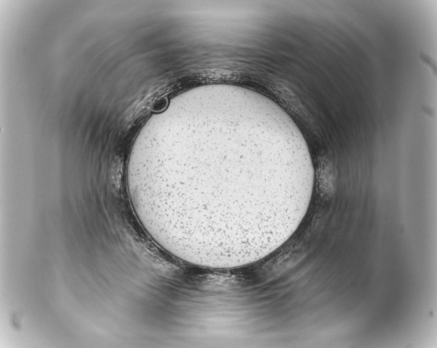 X0000101430458200807281004