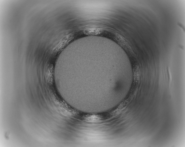 X0000101430460200807281005