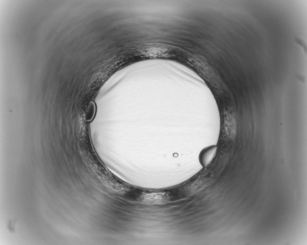 X0000101430461200807281005