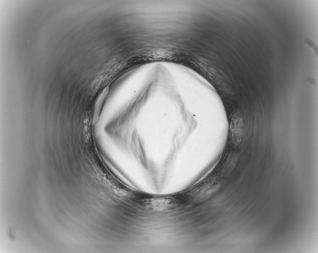 X0000101430462200807281005