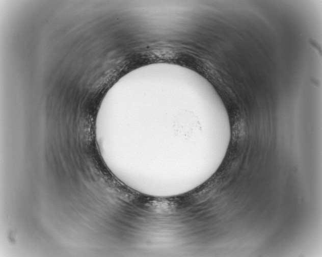 X0000101430464200807281005