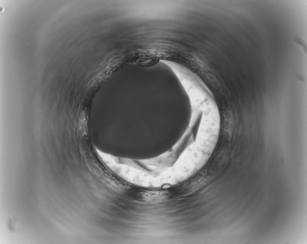 X0000101430465200807281005