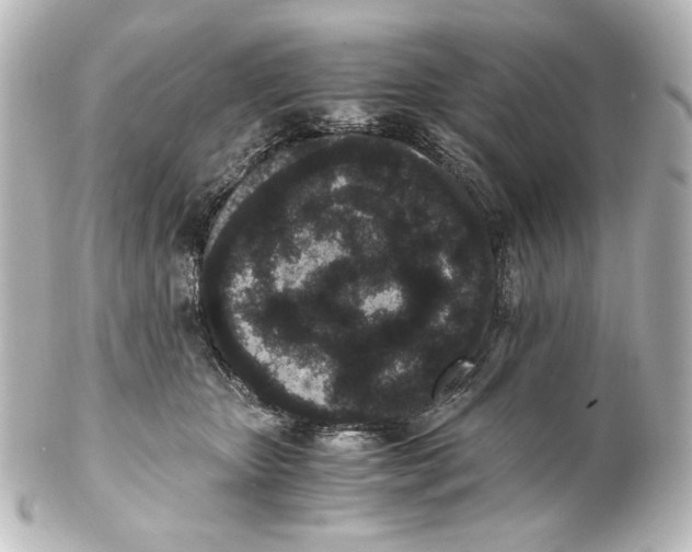 X0000101430467200807281005