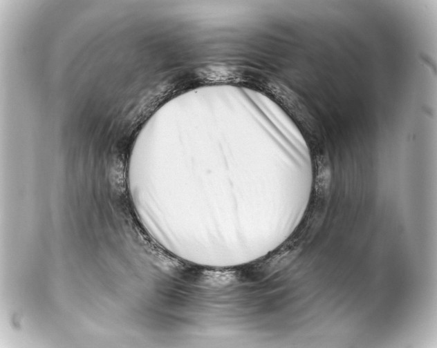 X0000101430469200807281005