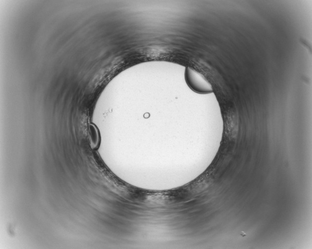 X0000101430470200807281005