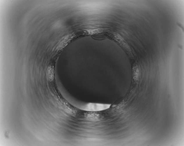 X0000101430471200807281005